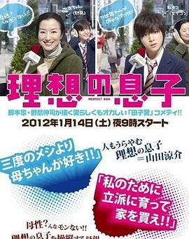 理想的儿子 理想の息子