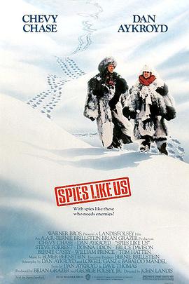 光棍出差 Spies Like Us