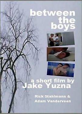 兄弟之间的秘密 Between the Boys