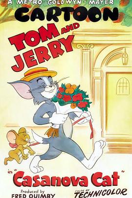 卡萨诺瓦猫 Casanova Cat