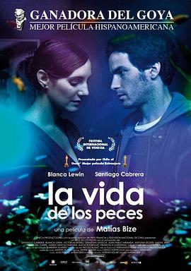 鱼的生活 La vida de los peces