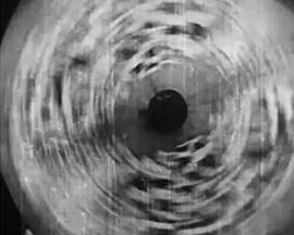 蝴蝶小姐 Miss Butterfly