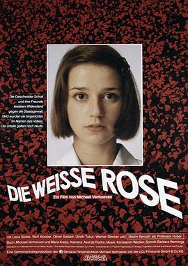 白玫瑰 Die weiße Rose