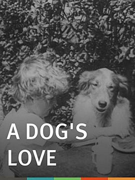 一条狗的爱 A Dog's Love