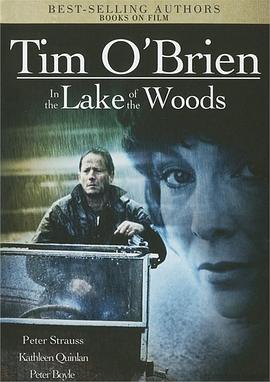 湖畔迷网 In the Lake of the Woods