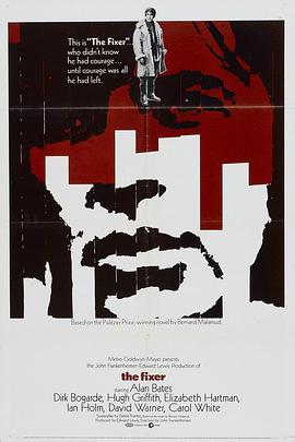 我无罪 The Fixer
