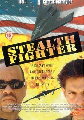 空中悍将 Stealth Fighter