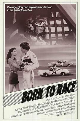 极速恋曲 Born to Race