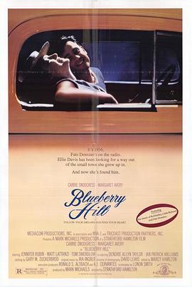 芬菲年华 Blueberry Hill