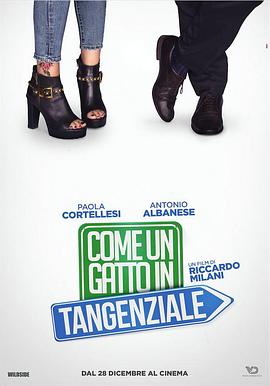 高速路上一只猫 Come un gatto in tangenziale