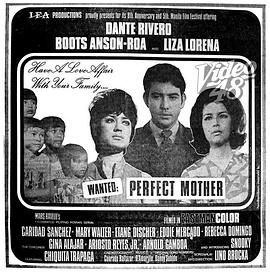 通缉：完美母亲 Wanted: Perfect Mother