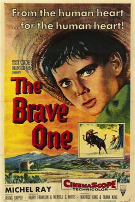 勇敢的人 The Brave One