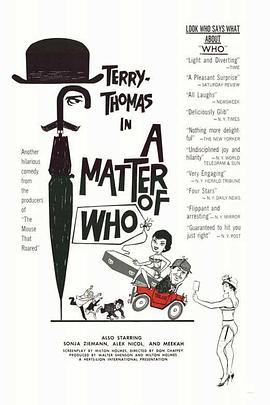 妙人侦探 A Matter of WHO