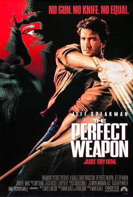 热血悍将 The Perfect Weapon