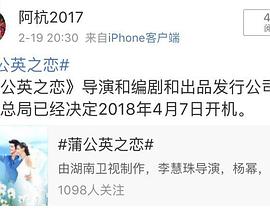 蒲公英之恋