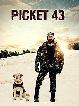 43号哨所 picket 43