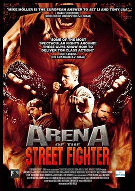 城市战士 Arena of the Street Fighter
