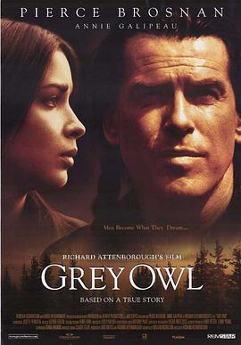 灰色夜枭 Grey Owl