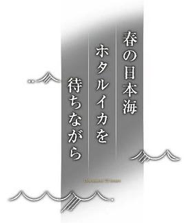 纪实72小时 春天的日本海 等待荧光乌贼 ドキュメント72時間「春の日本海 ホタルイカを待ちながら」