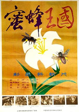 蜜蜂王国