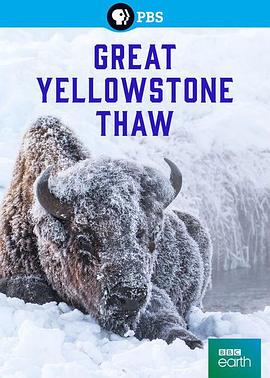 黄石大消融 Great Yellowstone Thaw