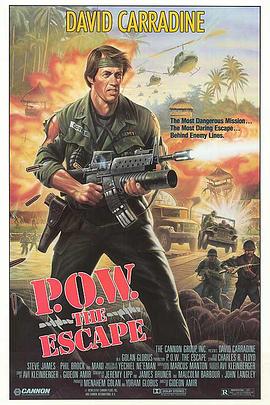 战俘大逃亡 Behind Enemy Lines