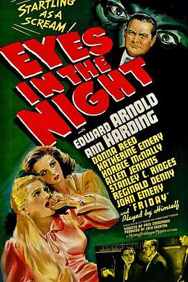 夜之眼 Eyes in the Night