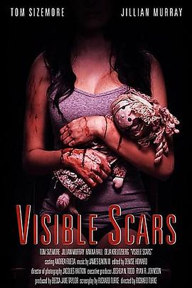 看得见的伤痕 Visible Scars