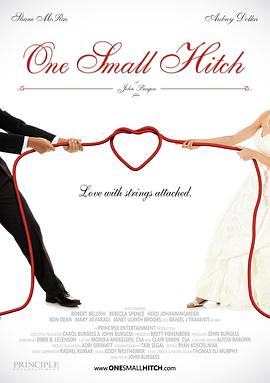 恰巧的爱情 One Small Hitch
