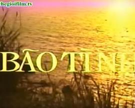 爱情风暴 Bão tình