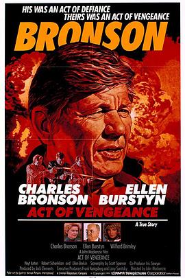 复仇行动 Act of Vengeance