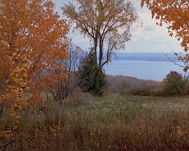 飞行之梦 Ultimate G's