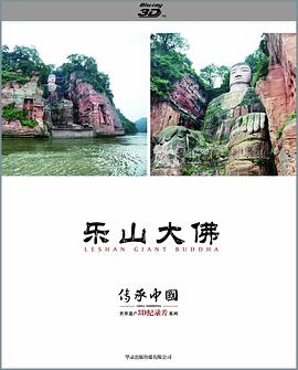 传承·中国 世界遗产3D纪录片系列之乐山大佛