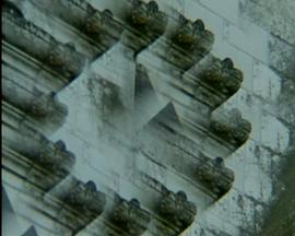 本质的区分 Les divisions de la nature