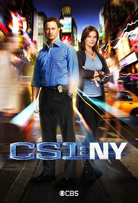 犯罪现场调查：纽约 第八季 CSI: NY Season 8