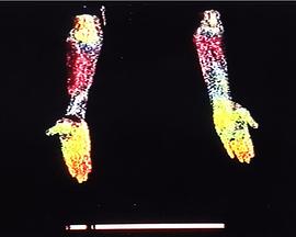 拟像 The Rumour of True Things