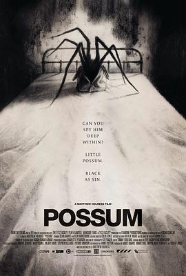负鼠 Possum