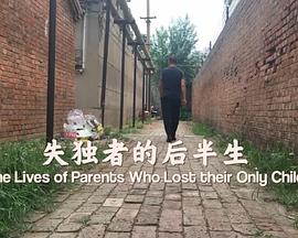 失独者的后半生