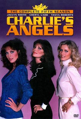 查理的天使 第五季 Charlie's Angels Season 5