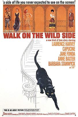 神女生涯原是梦 Walk on the Wild Side