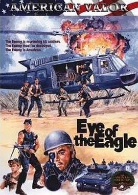 鹰眼 Eye of the Eagle