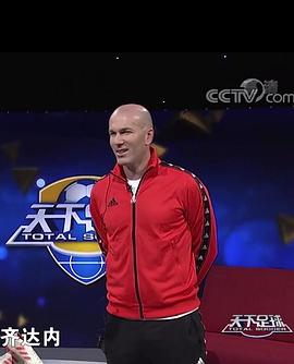 齐达内：足球与智慧的肖像