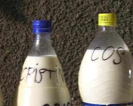 天然牛奶 Lapte natural