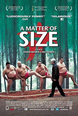 尺码问题 A Matter of Size