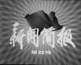 新闻简报1975年第22号
