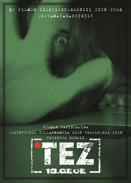 论文：第13夜 Tez: 13.Gece