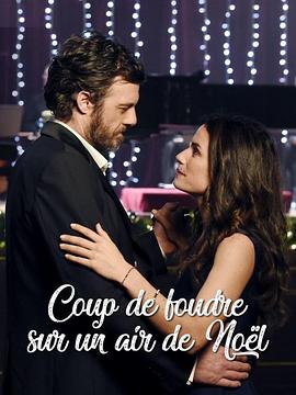爱恋维也纳 Coup de Foudre sur un Air de Noël