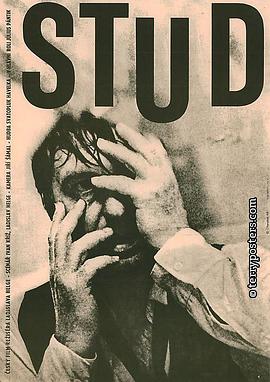 羞耻 Stud