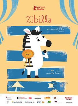 小斑马齐比拉 Zibilla