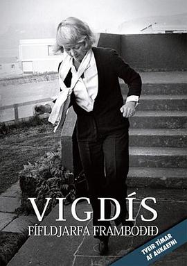 维格迪丝：第一位冰岛女总统 Vigdís: Fífldjarfa framboðið